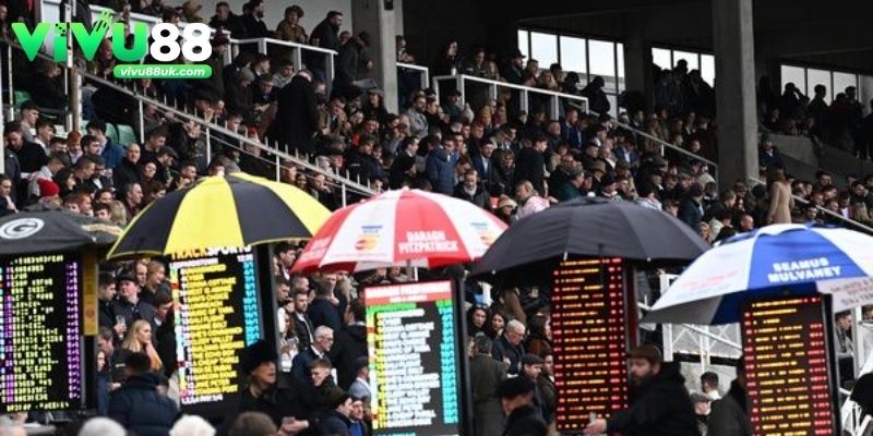 Kèo rung là một lựa chọn đặc biệt ngay khi trận đấu đang diễn ra Kèo rung là một lựa chọn đặc biệt ngay khi trận đấu đang diễn raKèo rung là một lựa chọn đặc biệt ngay khi trận đấu đang diễn ra