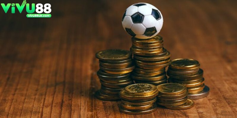 Tham khảo thêm các nhận định của chuyên gia để có cái nhìn tổng quan